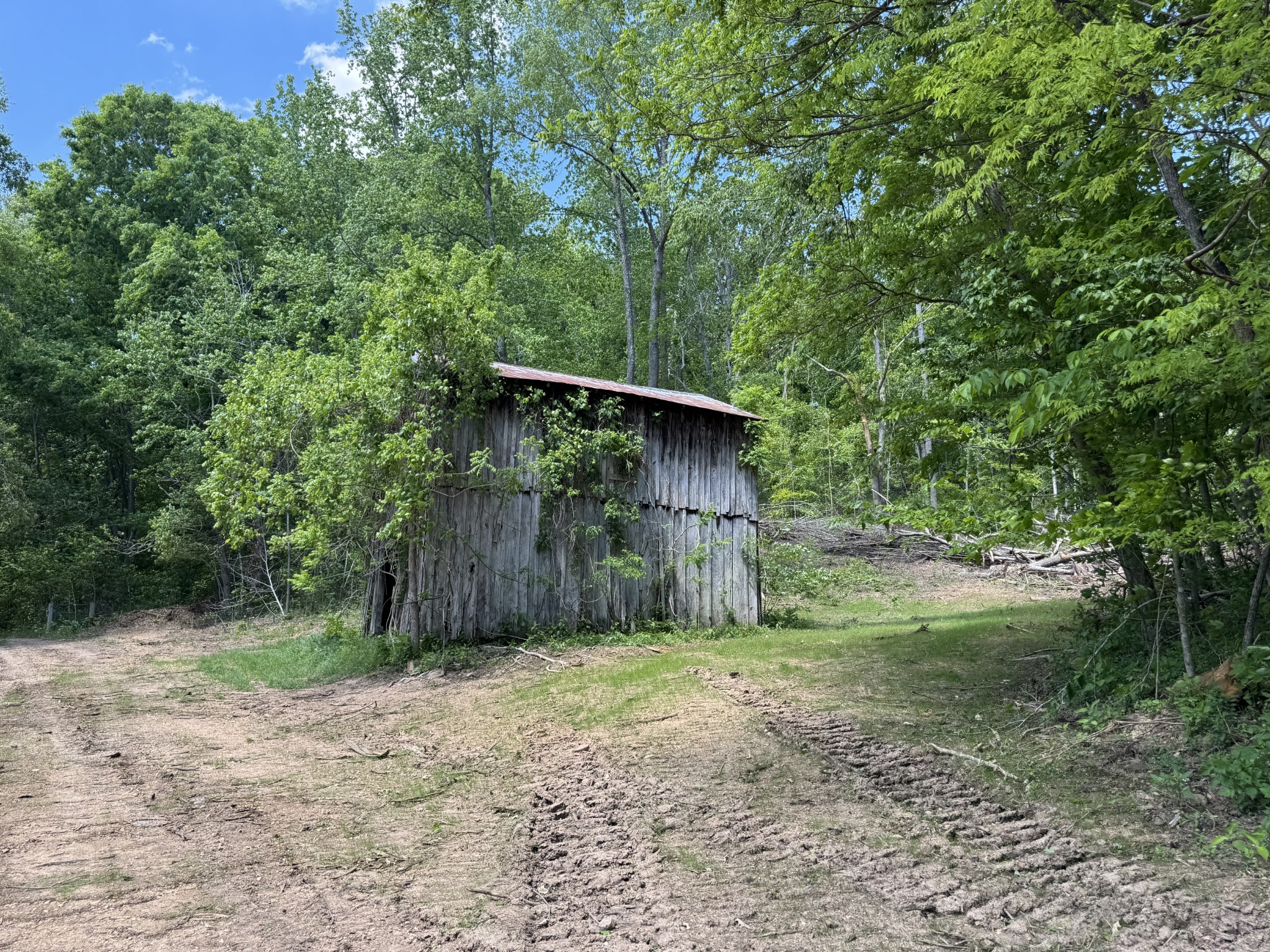 0 Cub Creek Road Indian Mound, TN 37079 - Photo 9 of 15