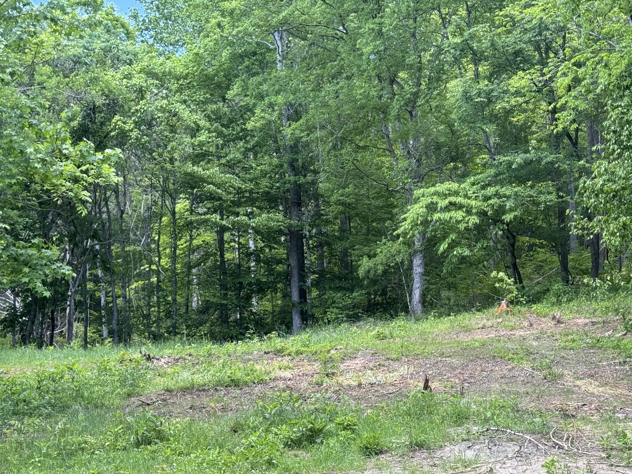 0 Cub Creek Road Indian Mound, TN 37079 - Photo 10 of 15