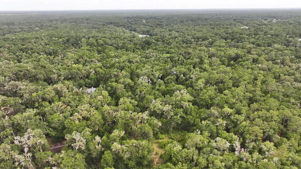 18731 Southwest 79th Place Dunnellon, FL 34432 - Photo 2 of 14