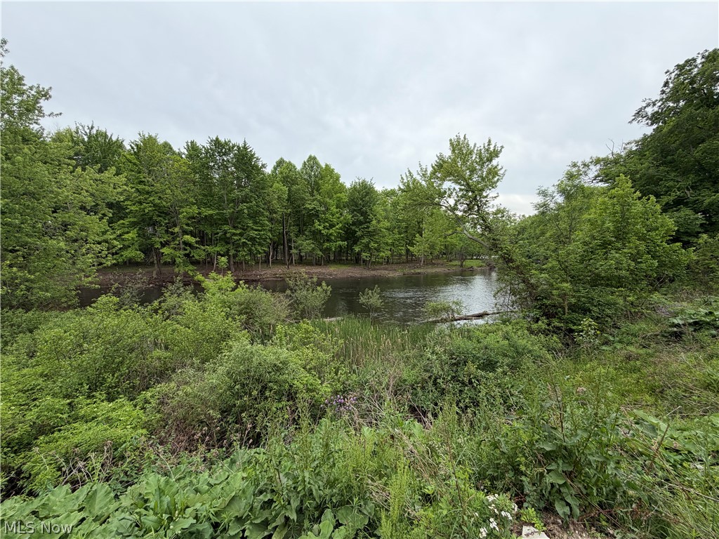 9098 Diagonal Road Streetsboro, OH 44241 - Photo 18 of 25 Natural water feature surrounded by dense, mature trees and varied green foliage