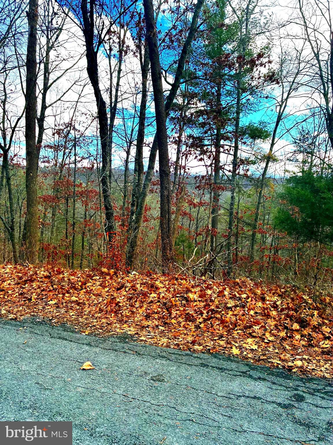 Spitz Lane Basye, VA 22810 - Photo 4 of 16