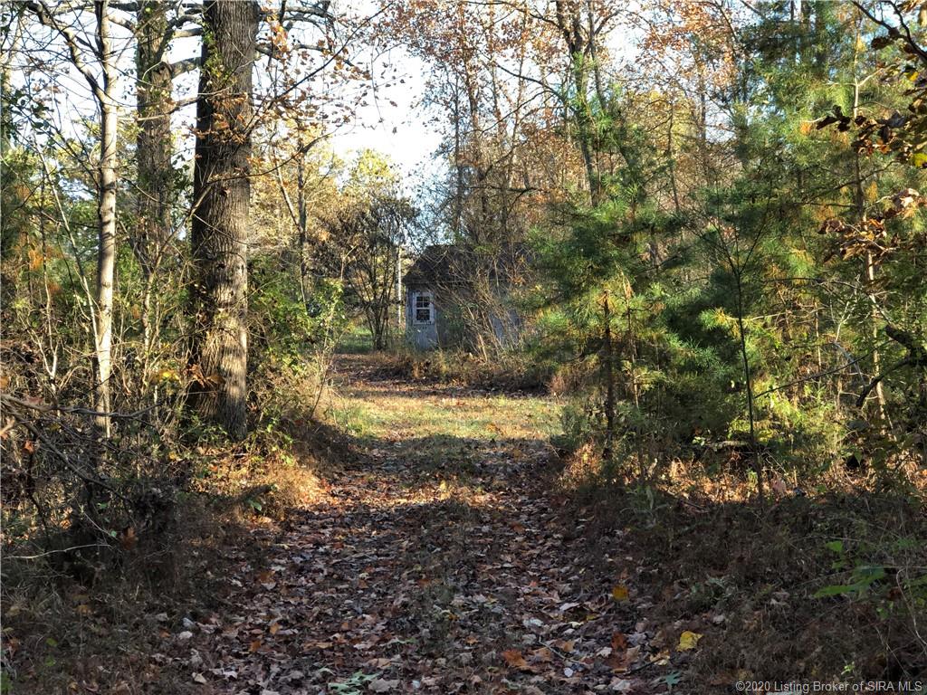 6913 Zollman Road Otisco, IN 47163 - Photo 8 of 12