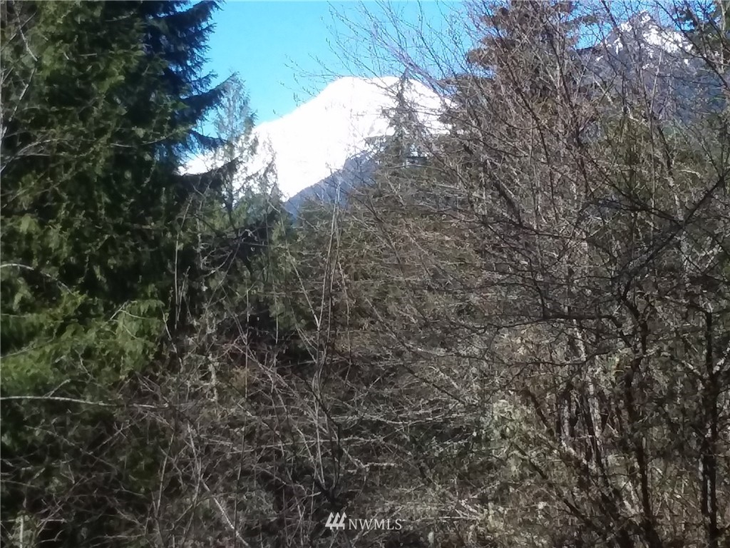 250 Snyder Road Packwood, WA 98361 - Photo 21 of 24 Gallery Image 21