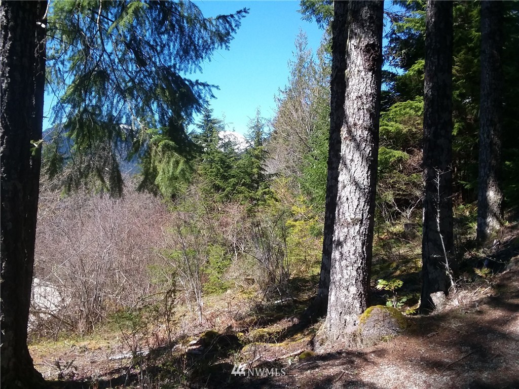 250 Snyder Road Packwood, WA 98361 - Photo 23 of 24 Gallery Image 23