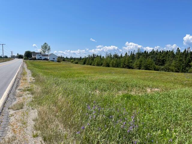 Lots 6-1&2 Lots 6-1&2 Ridge Road Cutler, ME 04626 - Photo 3 of 22 IMG_5622