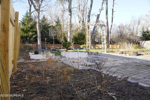 a view of a yard with a tree