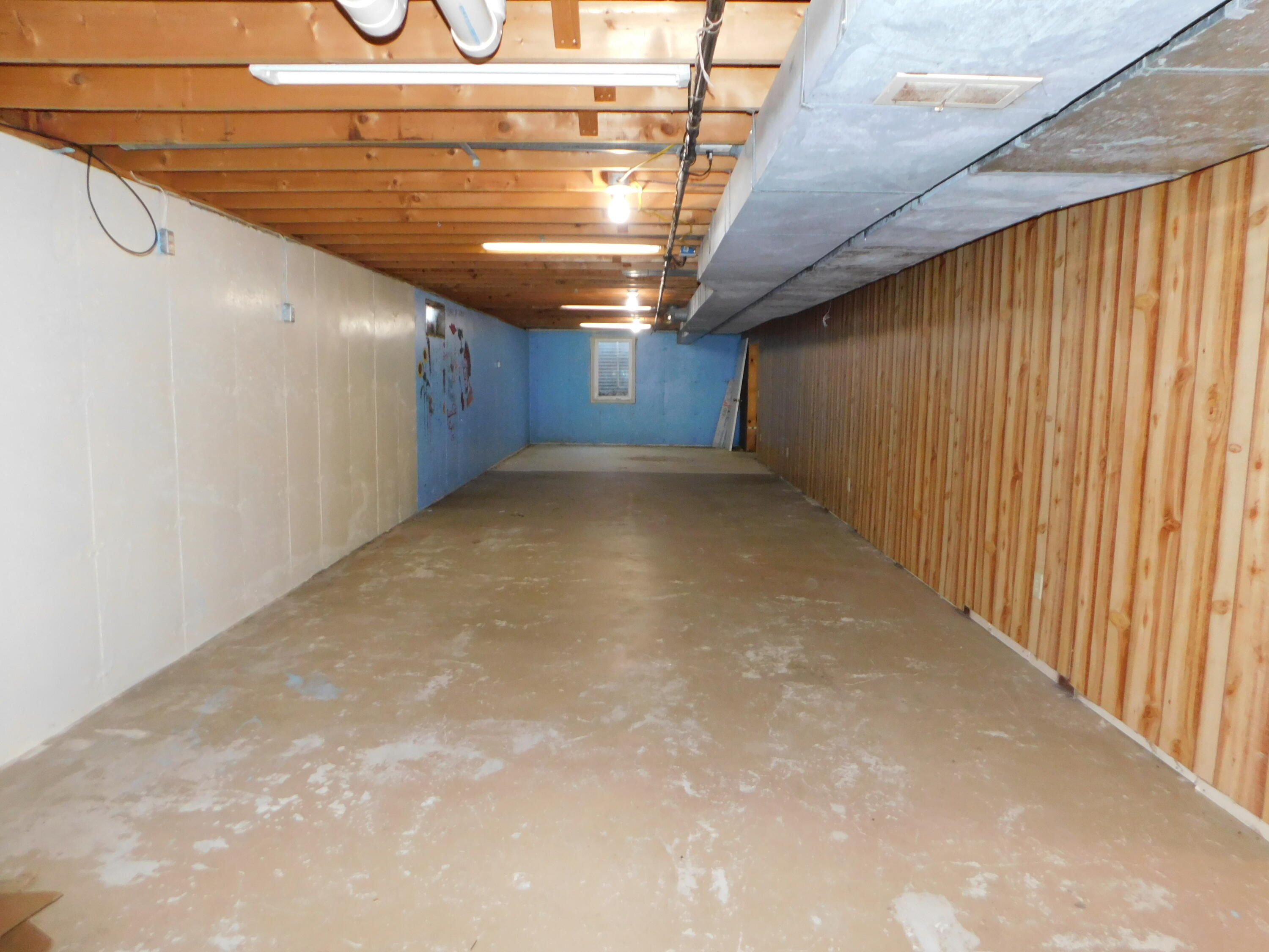404 West Edgar Bergen Boulevard Decatur, MI 49045 - Photo 13 of 16 endless possibilities in basement
