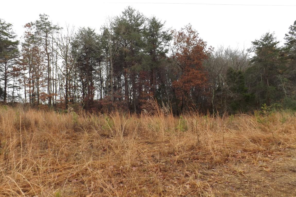 10.3-acres John Ross Road Spring City, TN 37381 - Photo 1 of 14 John Ross 10