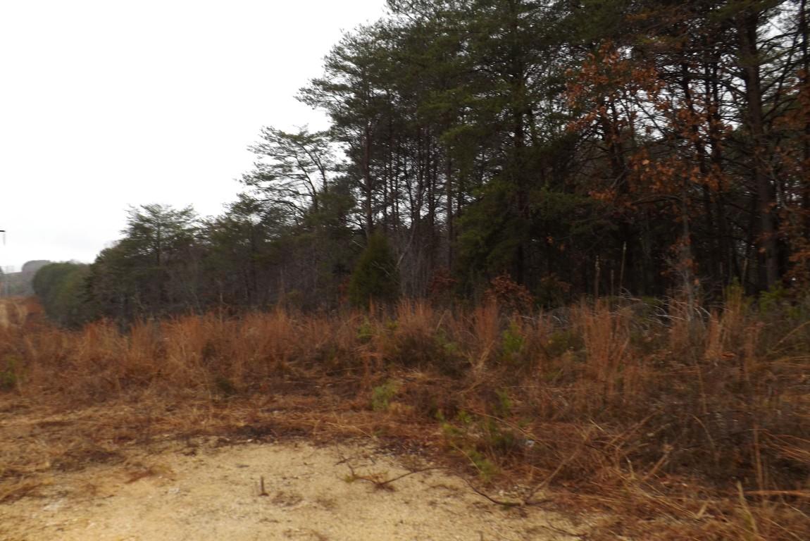 10.3-acres John Ross Road Spring City, TN 37381 - Photo 2 of 14 John Ross 10