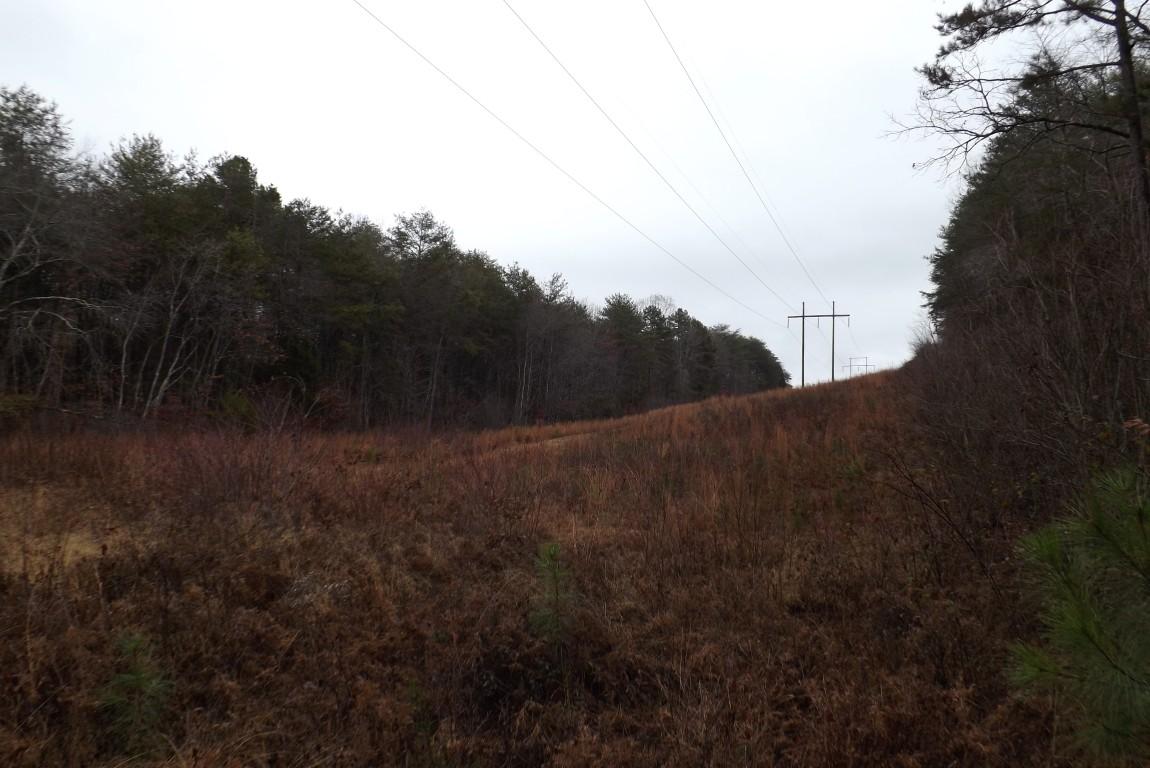10.3-acres John Ross Road Spring City, TN 37381 - Photo 11 of 14 John Ross 10