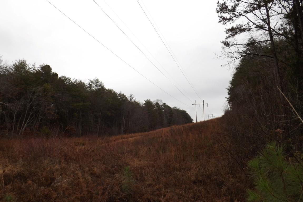 10.3-acres John Ross Road Spring City, TN 37381 - Photo 12 of 14 John Ross 10