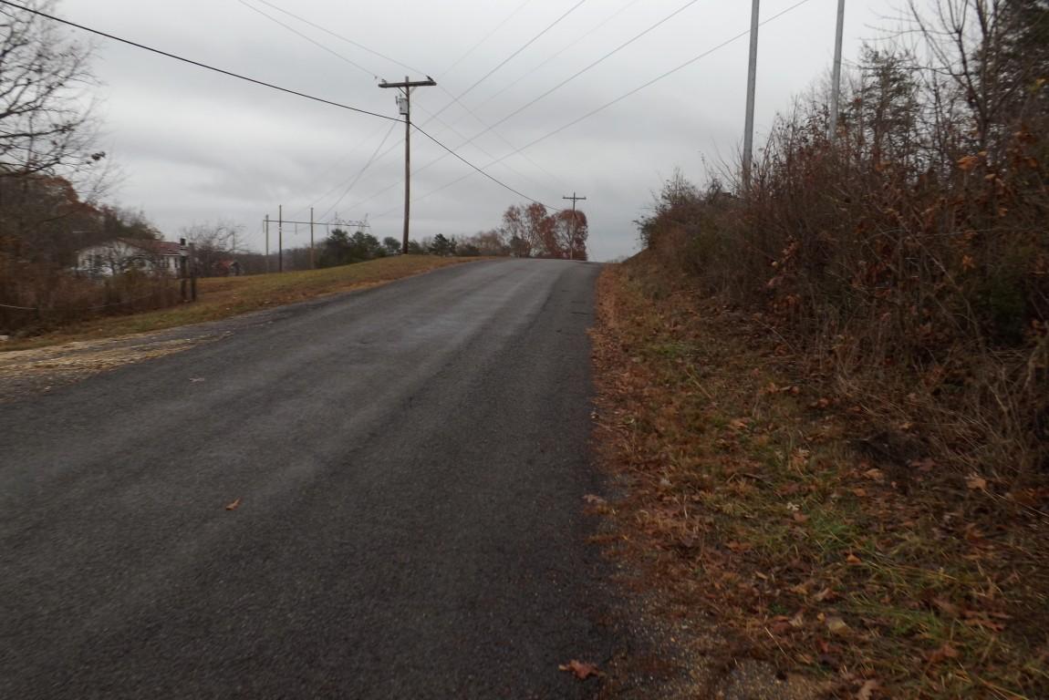 10.3-acres John Ross Road Spring City, TN 37381 - Photo 13 of 14 John Ross 10