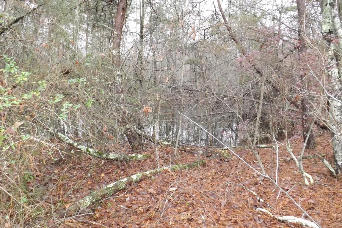 10.3-acres John Ross Road Spring City, TN 37381 - Photo 4 of 14 John Ross 10
