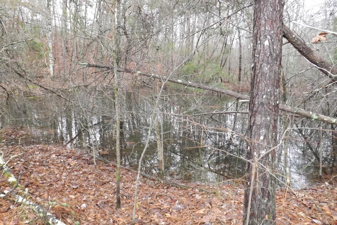 10.3-acres John Ross Road Spring City, TN 37381 - Photo 5 of 14 John Ross 10