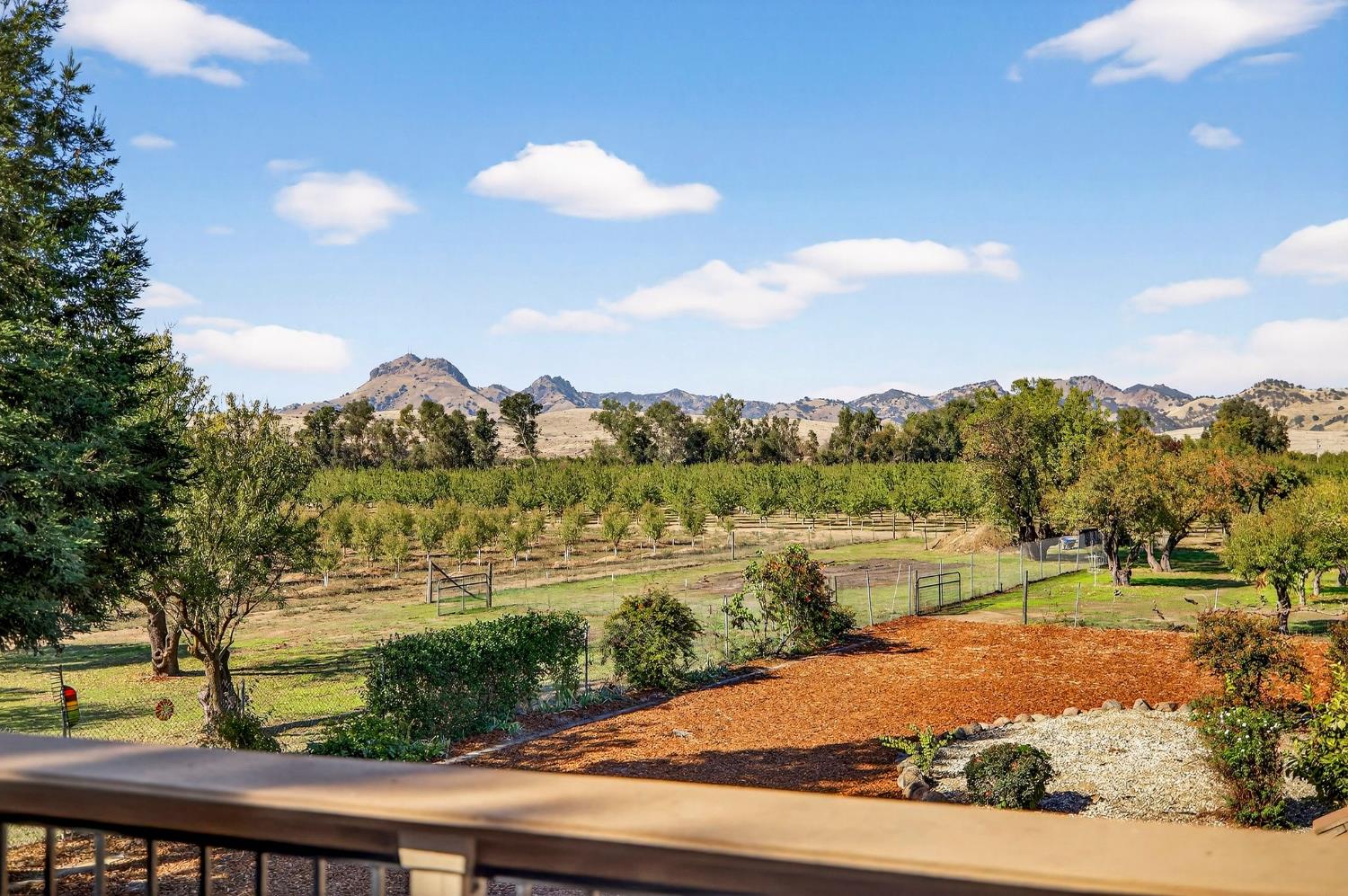 8617 South Butte Road Sutter, CA 95982 - Photo 4 of 64