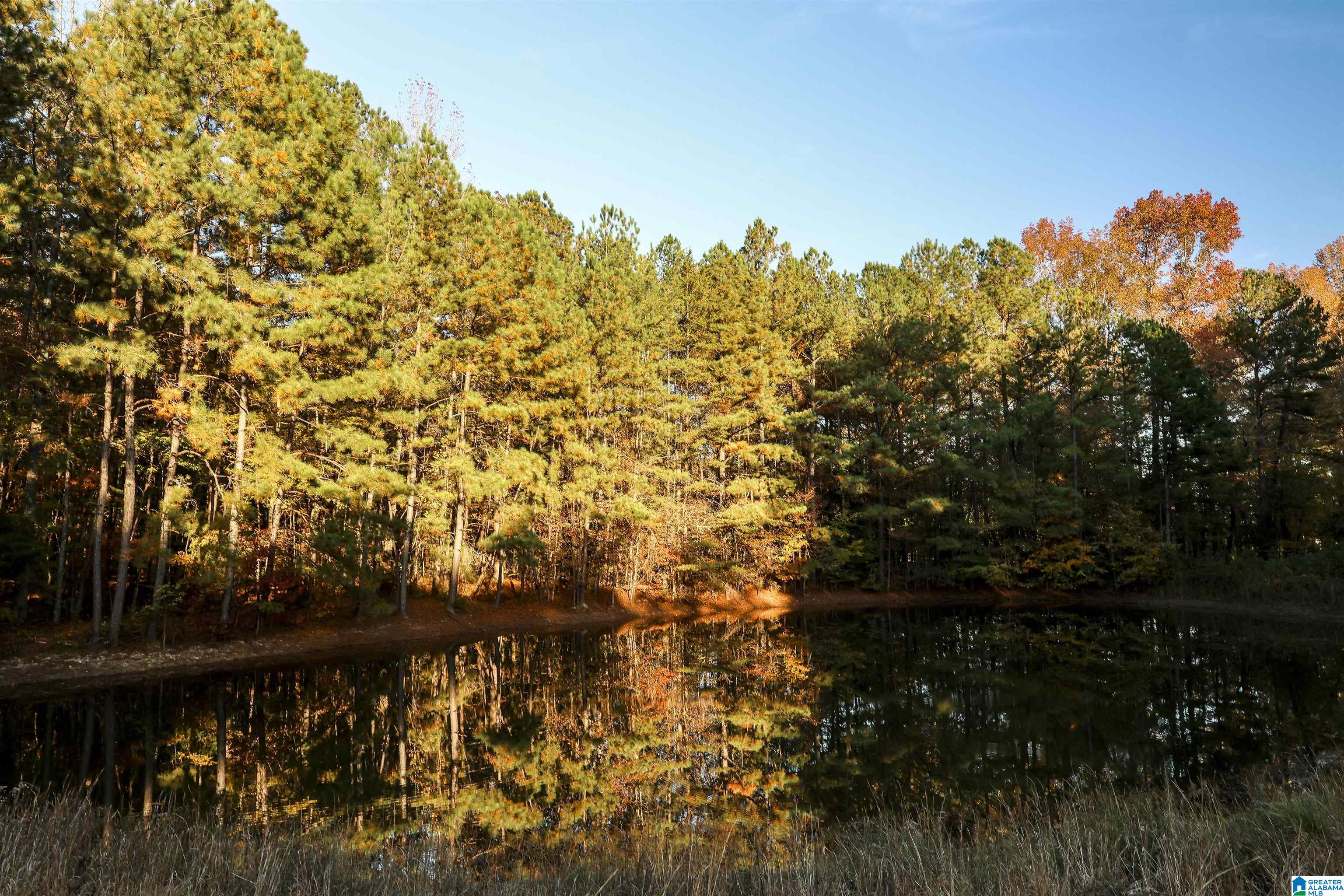 4465 Choccolocco Road Anniston, AL 36207 - Photo 4 of 97