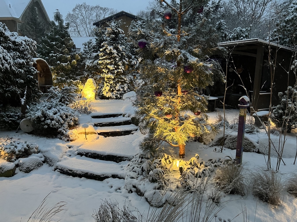 40 Holland Road Melrose, MA 02176 - Photo 42 of 42 a view of outdoor seating space and garden