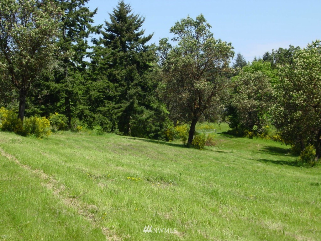 49-xx Southwest Point Robinson Road Vashon, WA 98070 - Photo 7 of 9
