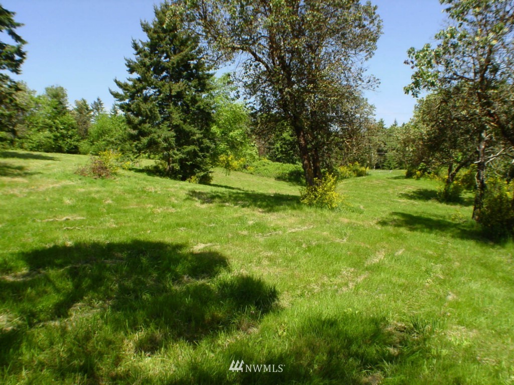 49-xx Southwest Point Robinson Road Vashon, WA 98070 - Photo 8 of 9