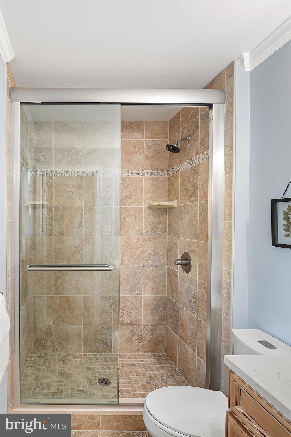 8391 WB&A Road Severn, MD 21144 - Photo 25 of 48 Primary Bathroom Shower