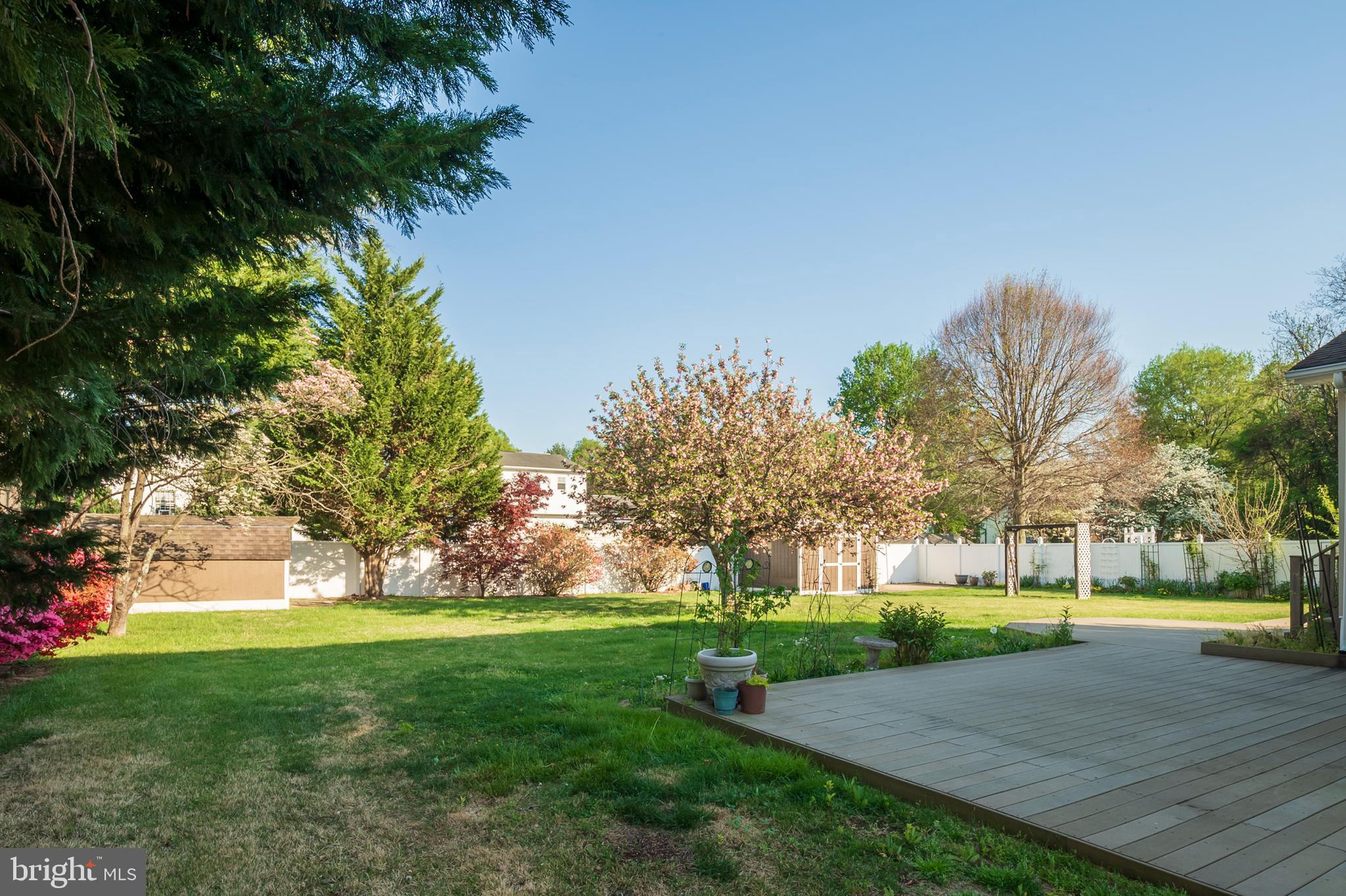 8391 WB&A Road Severn, MD 21144 - Photo 44 of 48 Backyard (alt view)