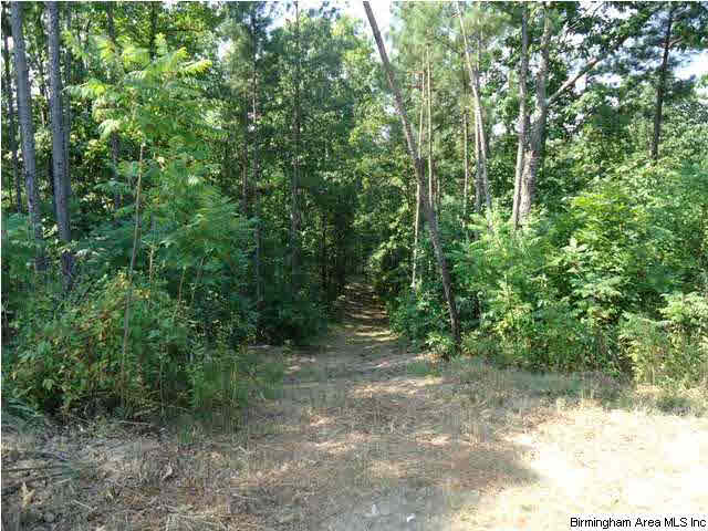 Mayo Road, Unit 96 Altoona, AL 35952 - Photo 11 of 23