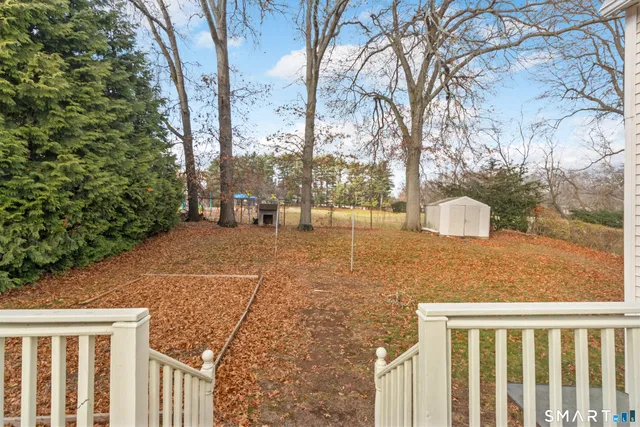 a view of a yard with plants and trees