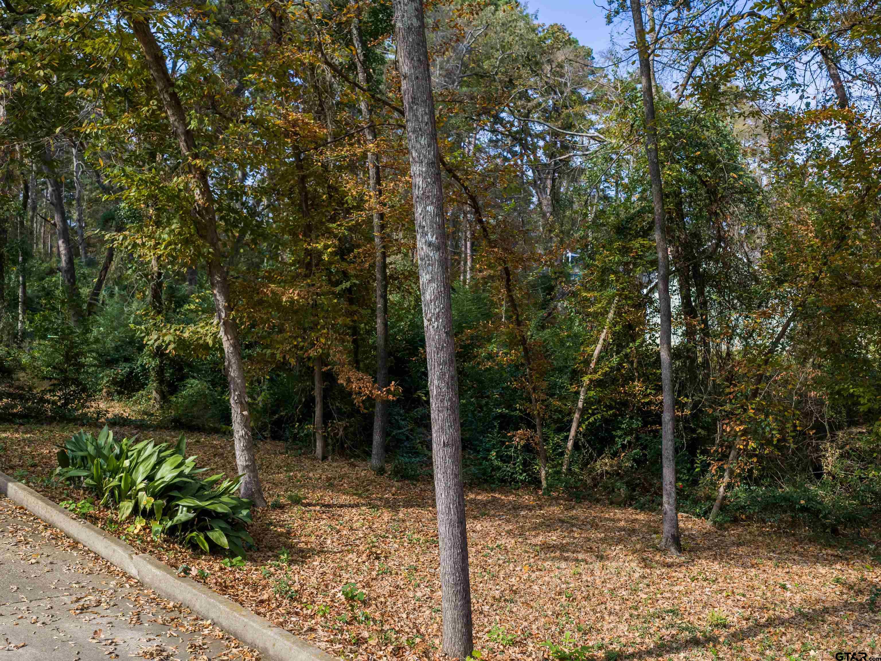 3950 Hanover Place Tyler, TX 75701 - Photo 38 of 44 a view of an outdoor space