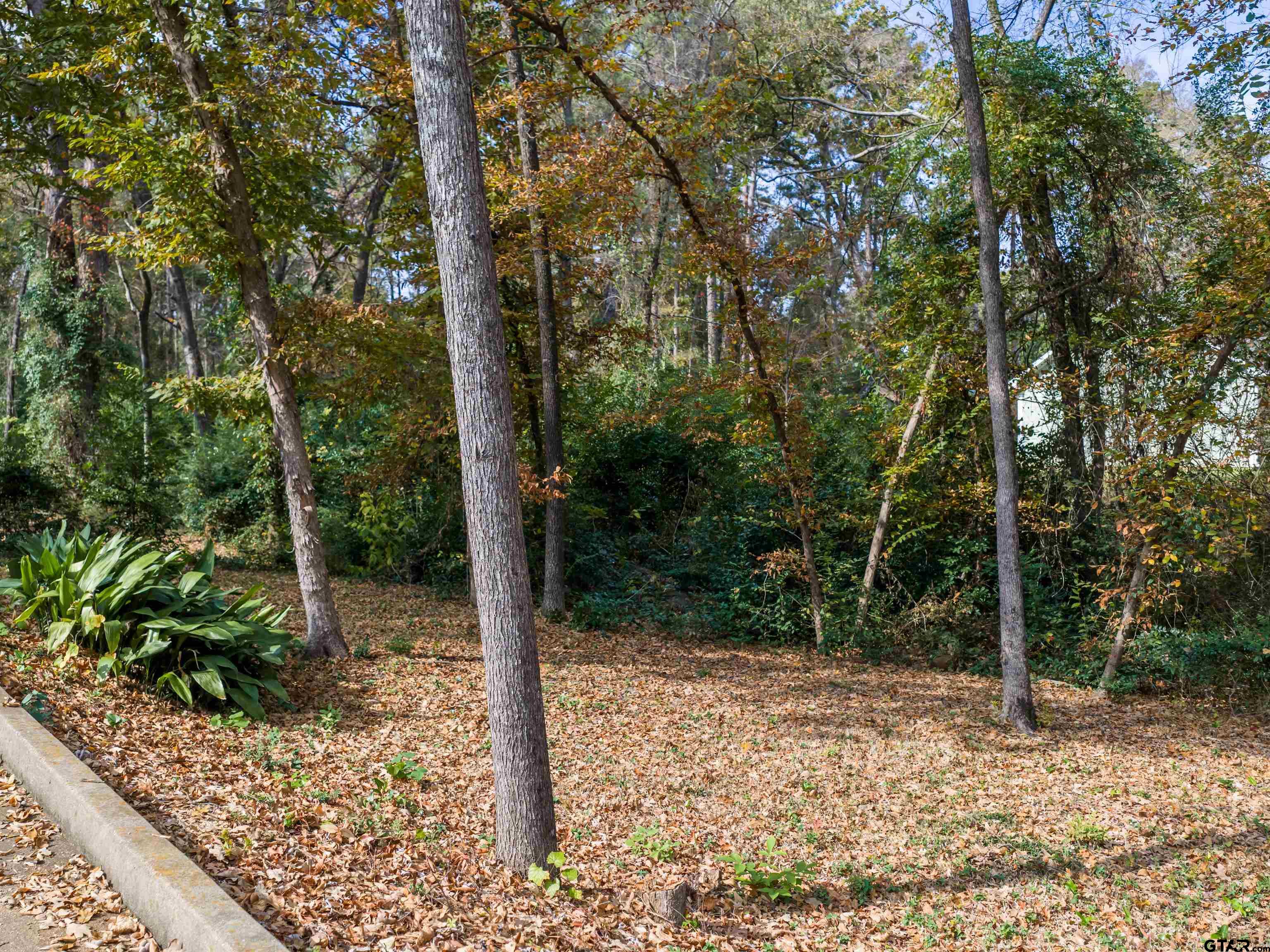 3950 Hanover Place Tyler, TX 75701 - Photo 39 of 44 a view of a forest filled with trees