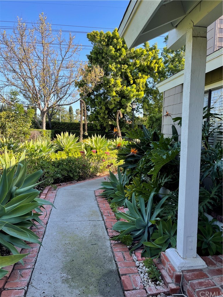 48 Riverstone, Unit 60 Irvine, CA 92606 - Photo 25 of 31 a plant is in front of a house