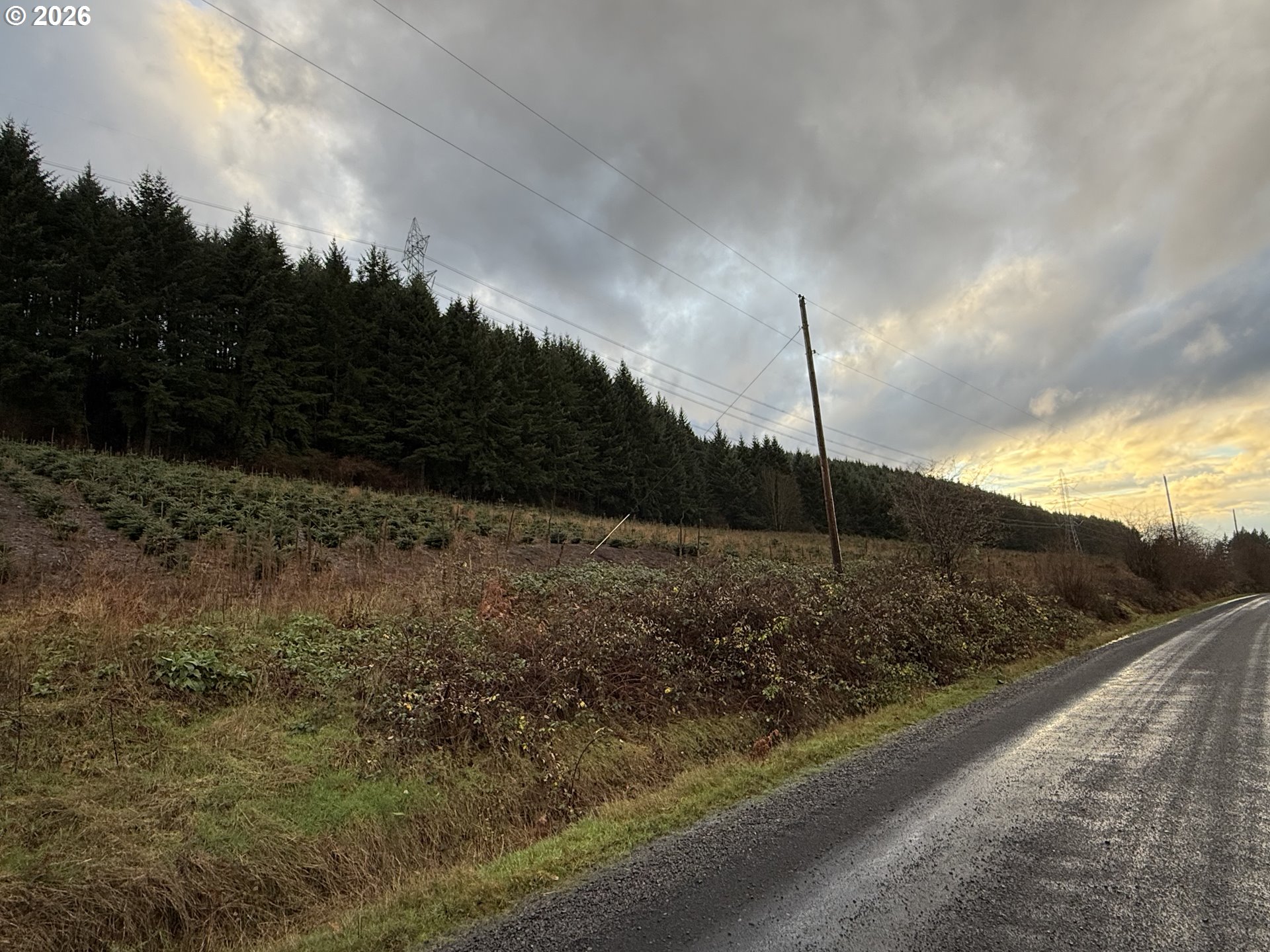 Siegmund Road Southeast Stayton, OR 97383 - Photo 18 of 21