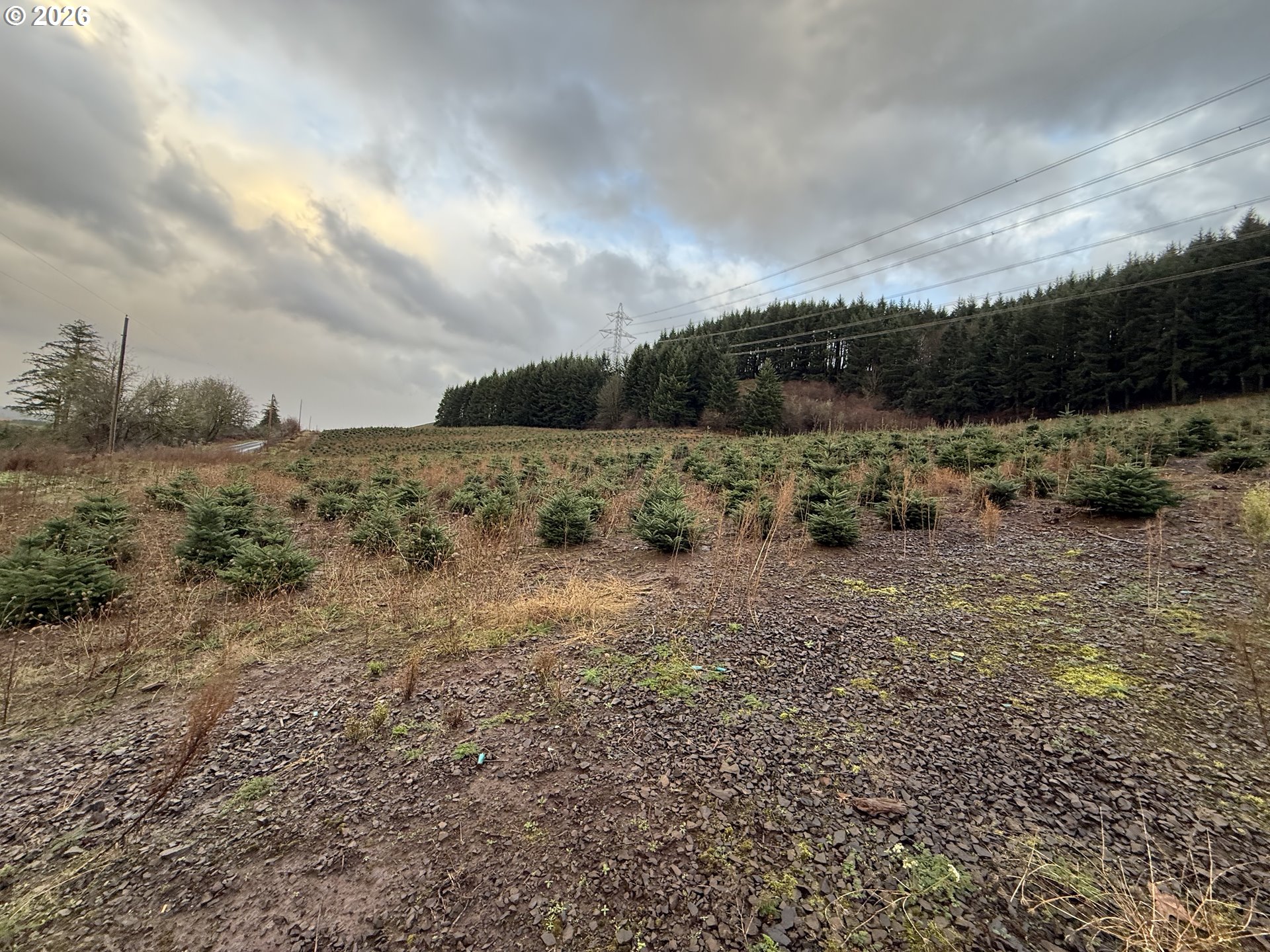 Siegmund Road Southeast Stayton, OR 97383 - Photo 20 of 21