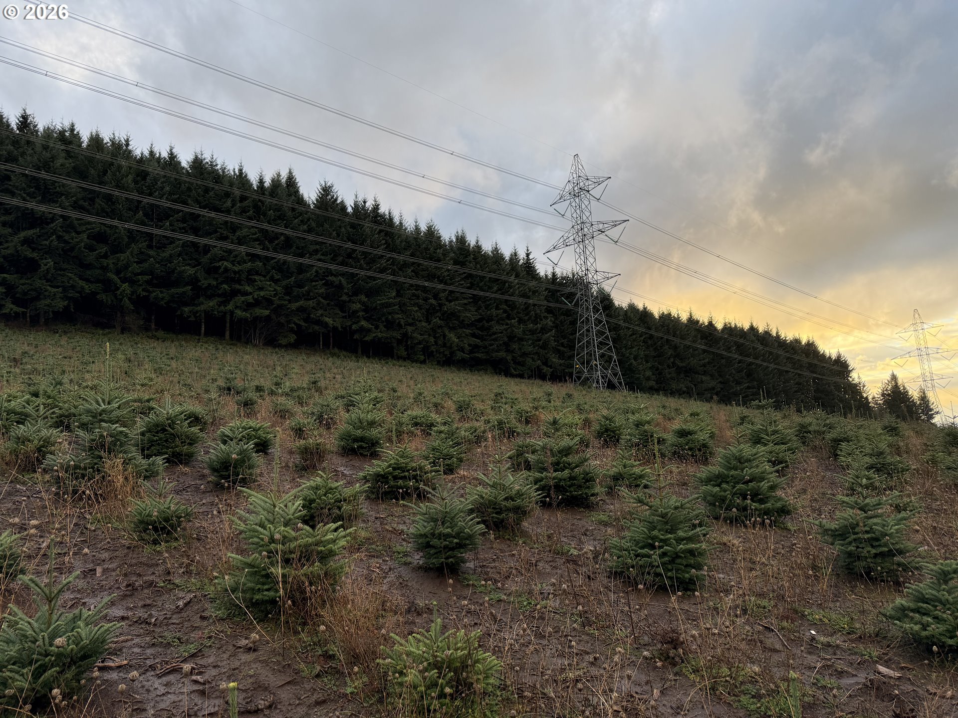 Siegmund Road Southeast Stayton, OR 97383 - Photo 3 of 21