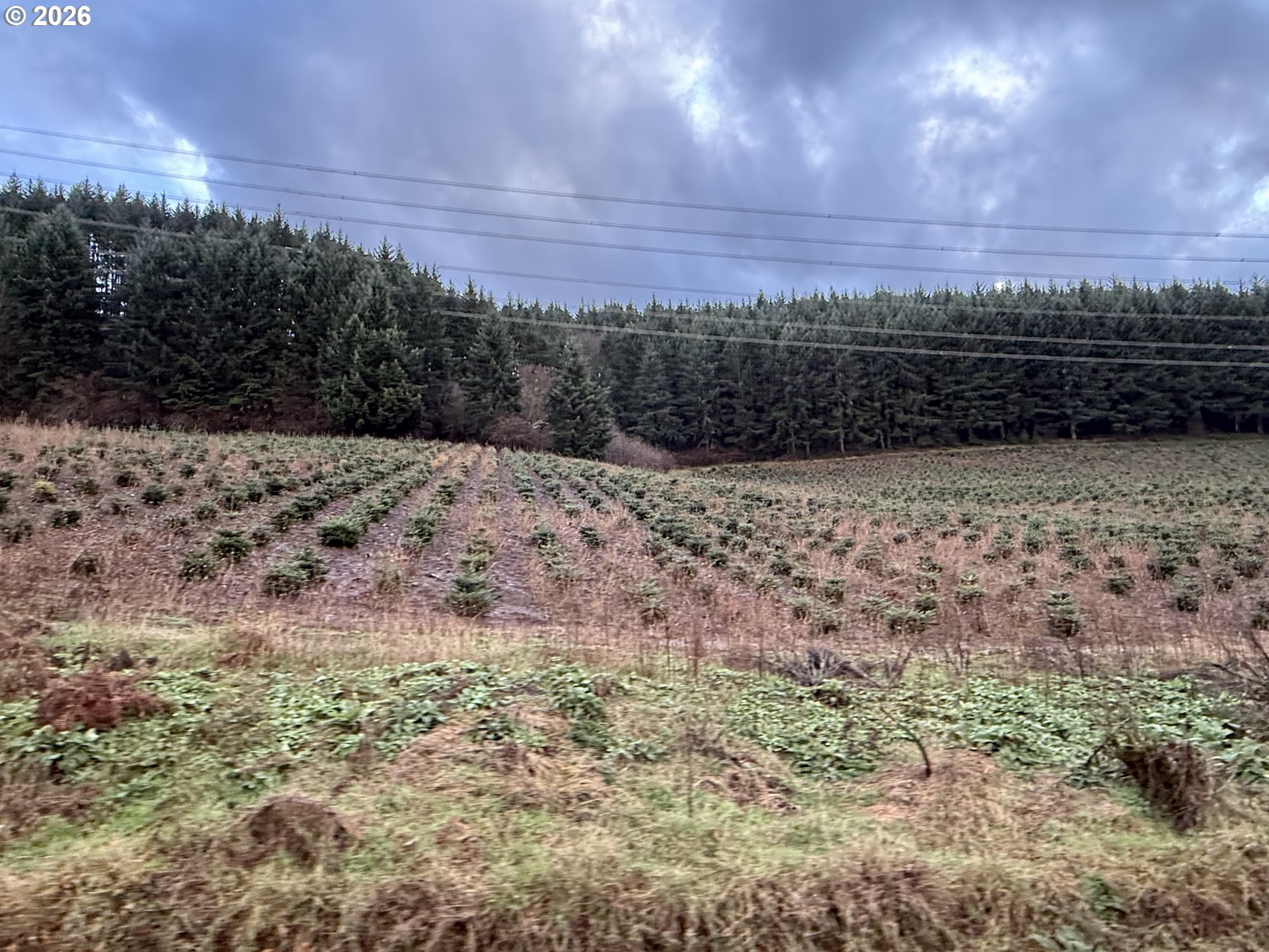 Siegmund Road Southeast Stayton, OR 97383 - Photo 4 of 21