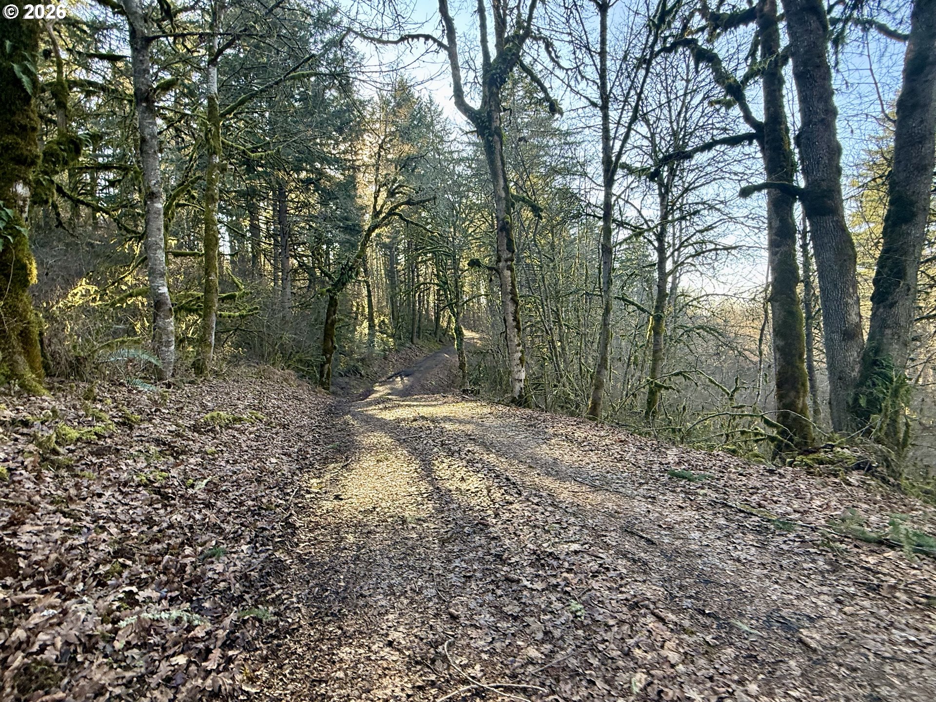 Siegmund Road Southeast Stayton, OR 97383 - Photo 8 of 21