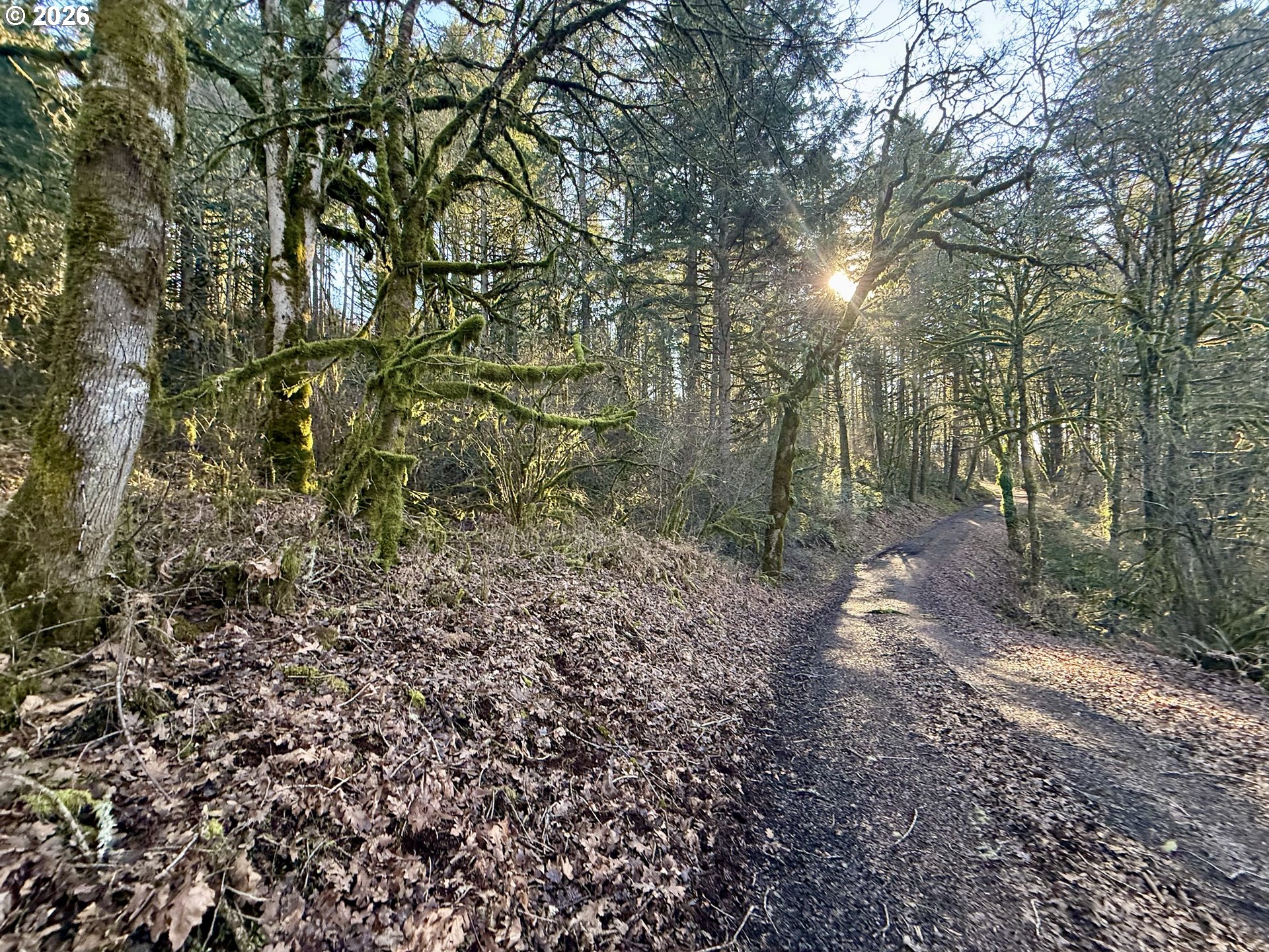 Siegmund Road Southeast Stayton, OR 97383 - Photo 9 of 21