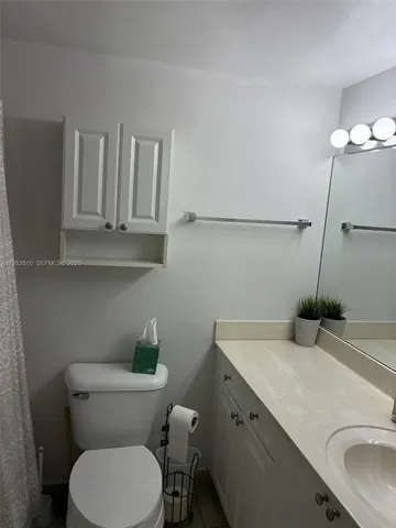 a bathroom with a sink mirror and a potted plant