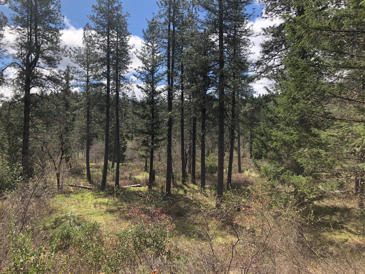 0 Lone Mountain Road, Unit TL602 O'Brien, OR 97534 - Photo 12 of 12 Additional Photo