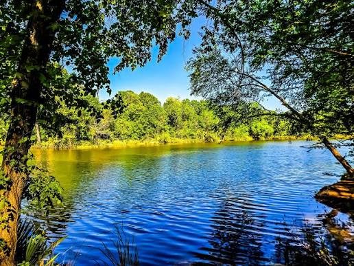 11-29-30 Grey Feather Road Huntsville, TX 77340 - Photo 12 of 12 a view of a lake with a house in the background