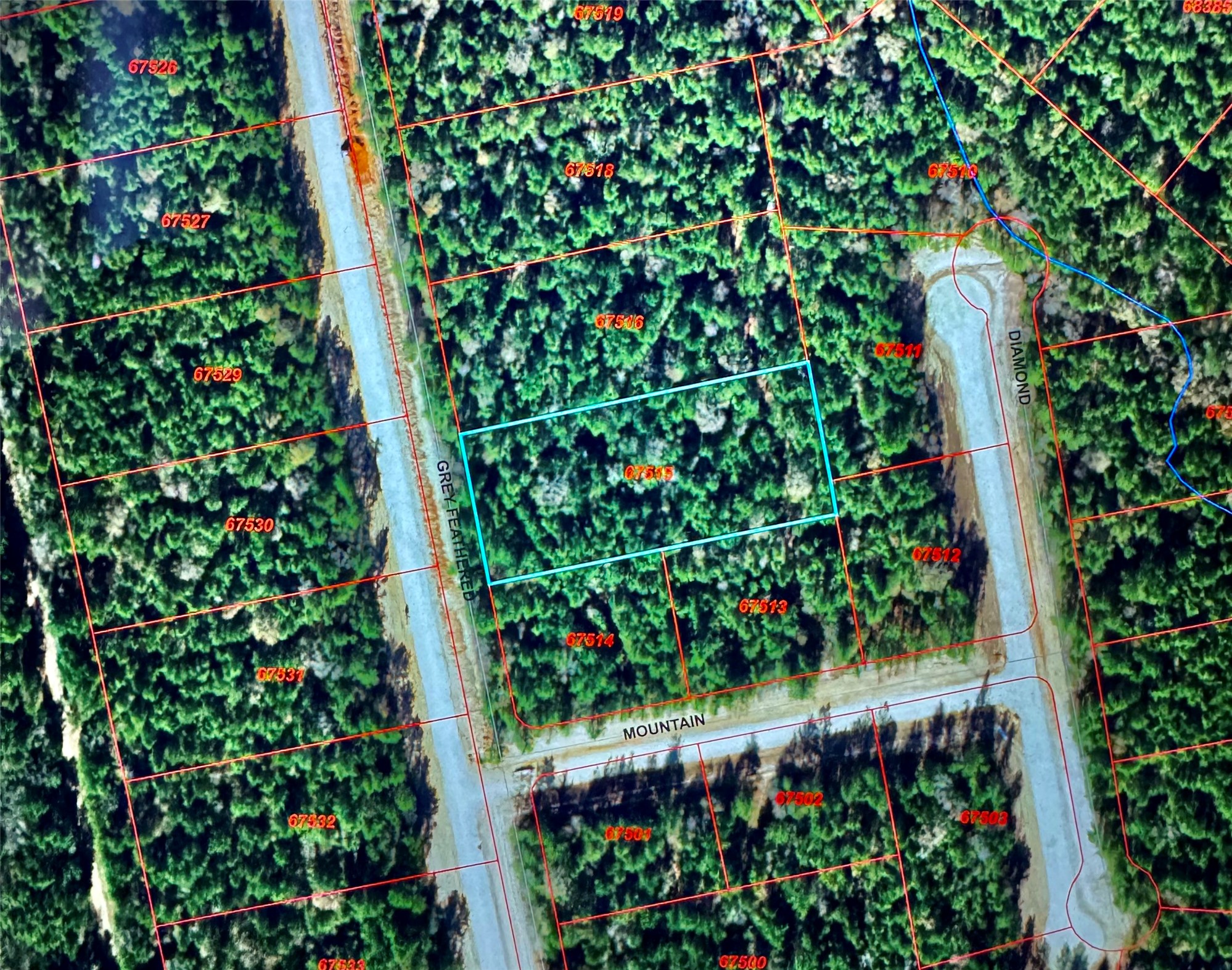 11-29-30 Grey Feather Road Huntsville, TX 77340 - Photo 2 of 12 a view of flowers in back yard