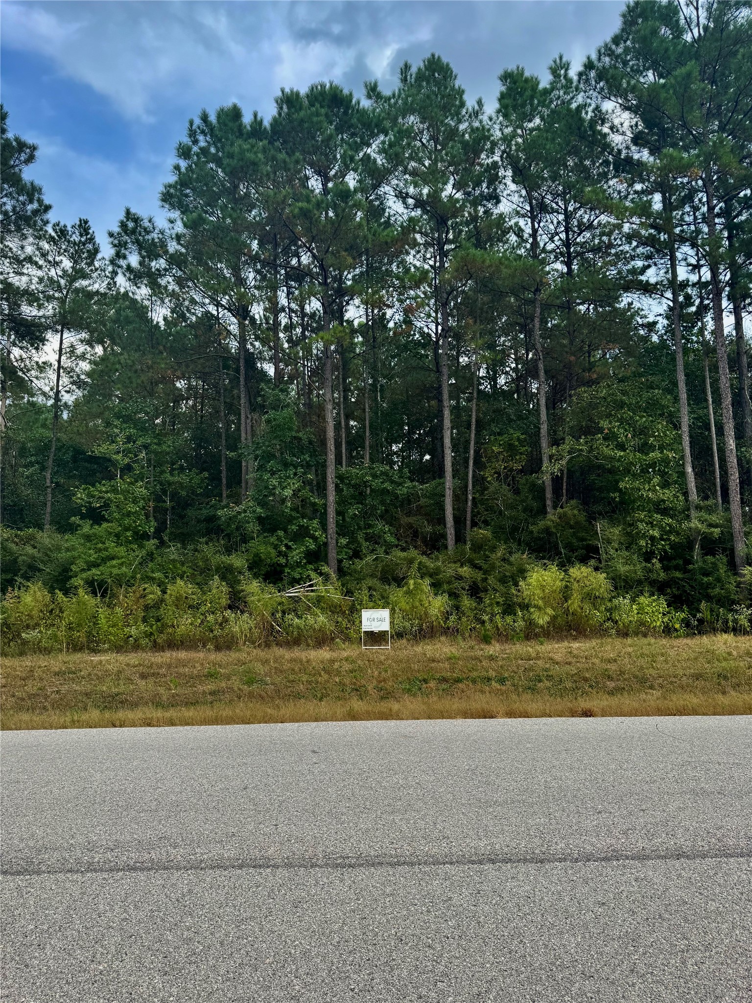11-29-30 Grey Feather Road Huntsville, TX 77340 - Photo 6 of 12 a view of a yard