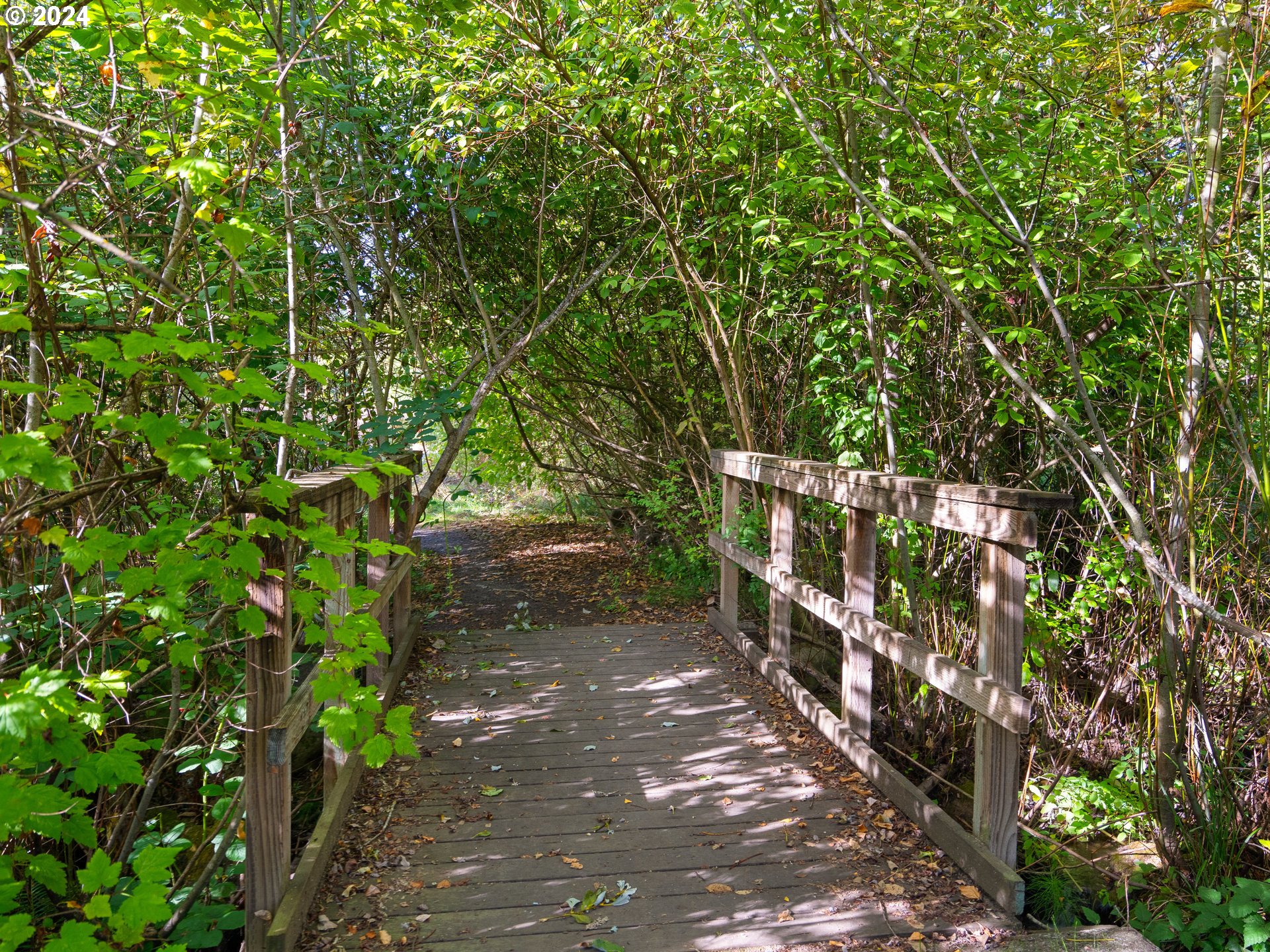 4435 Southeast Umatilla Street Portland, OR 97206 - Photo 40 of 48 a view of a pathway with a tree