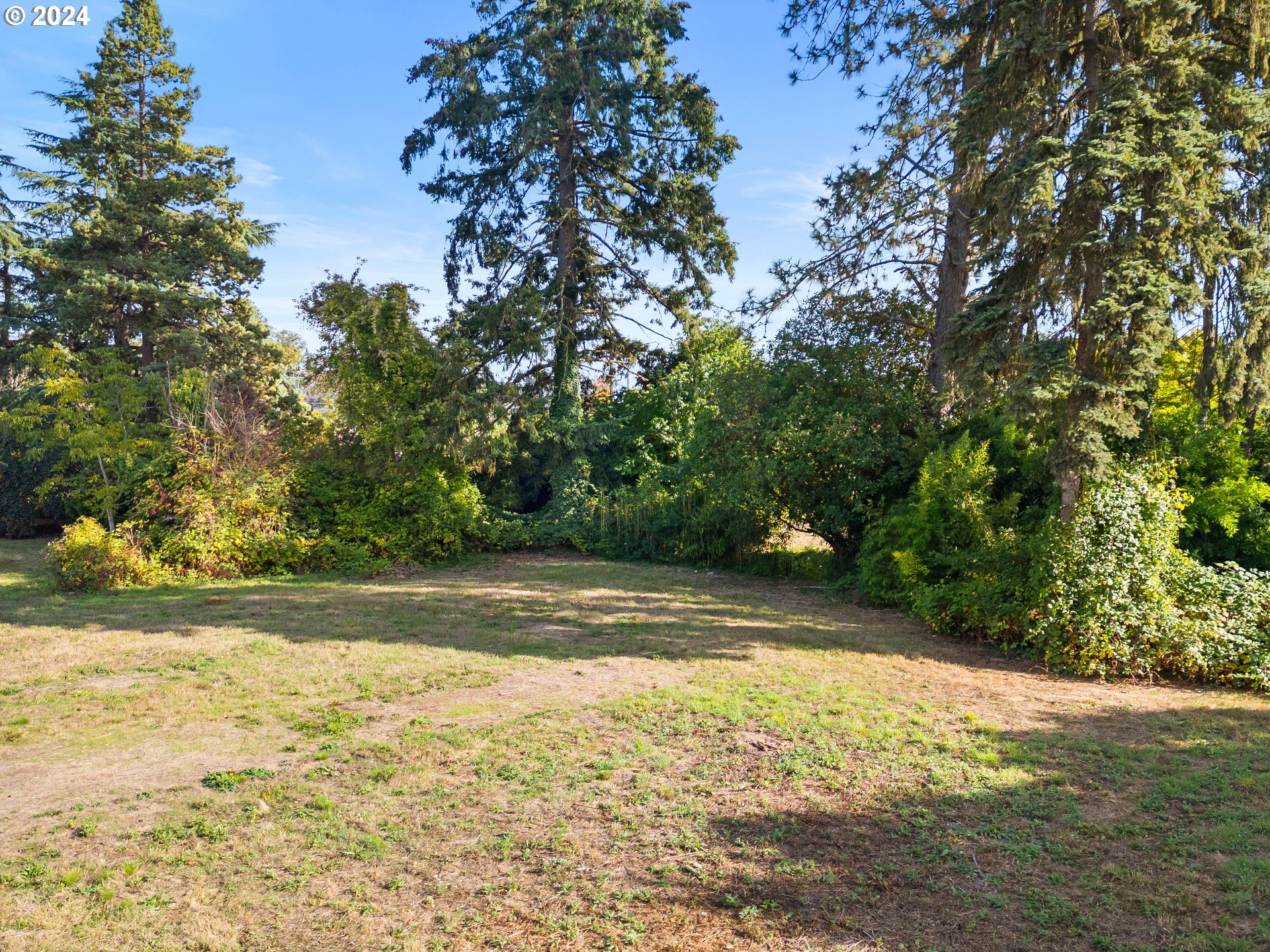 4435 Southeast Umatilla Street Portland, OR 97206 - Photo 46 of 48 a view of yard