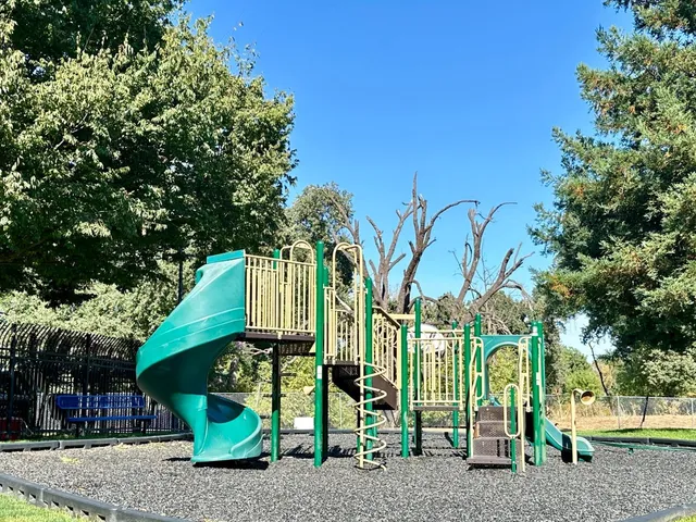 a view of a park with large trees