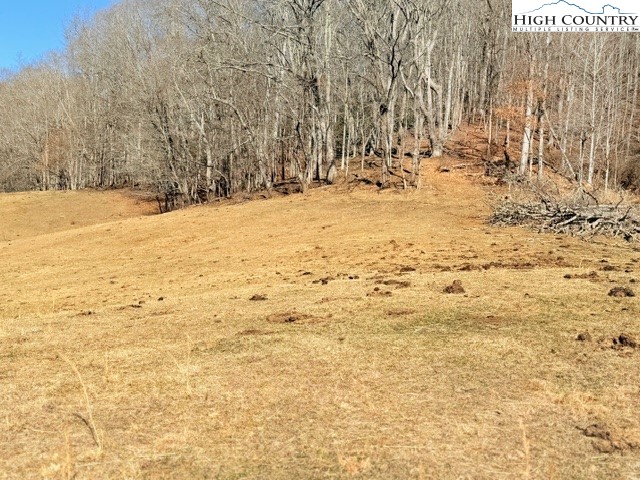 13.518 Landmark Church Road Lansing, NC 28643 - Photo 15 of 31 a view of yard