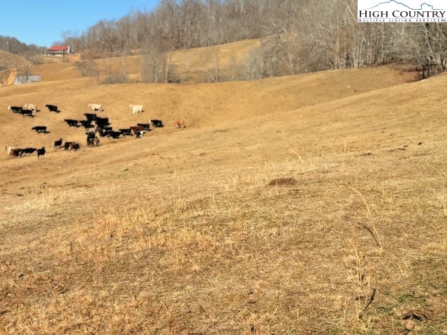 13.518 Landmark Church Road Lansing, NC 28643 - Photo 16 of 31 a view of an ocean beach