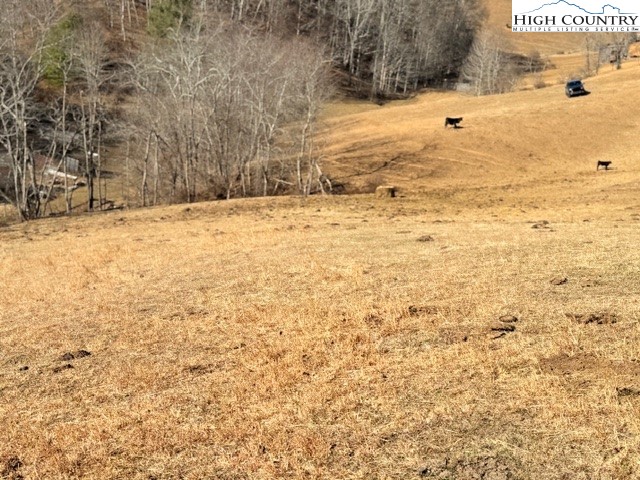 13.518 Landmark Church Road Lansing, NC 28643 - Photo 17 of 31 a view of yard covered with snow