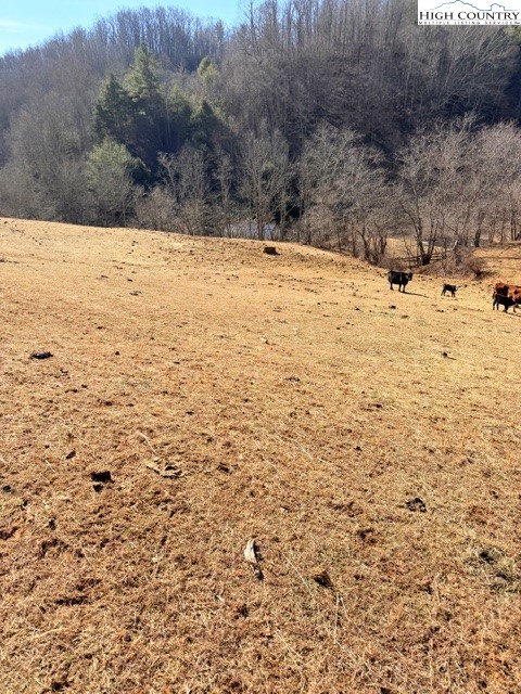 13.518 Landmark Church Road Lansing, NC 28643 - Photo 2 of 31