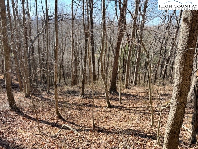13.518 Landmark Church Road Lansing, NC 28643 - Photo 22 of 31 a backyard of a house with lots of green space