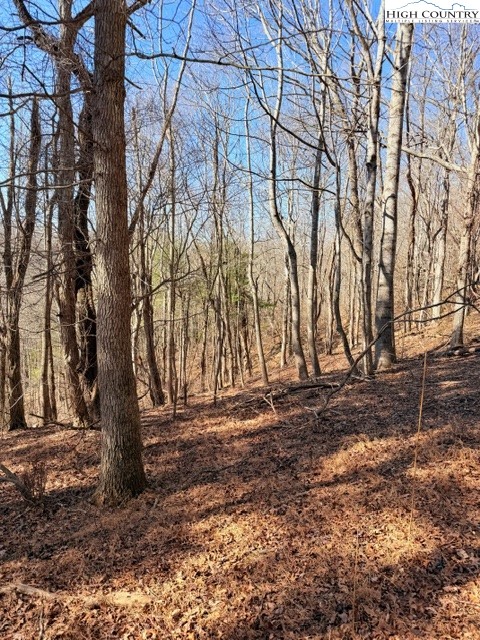 13.518 Landmark Church Road Lansing, NC 28643 - Photo 25 of 31 a backyard of a house with lots of green space
